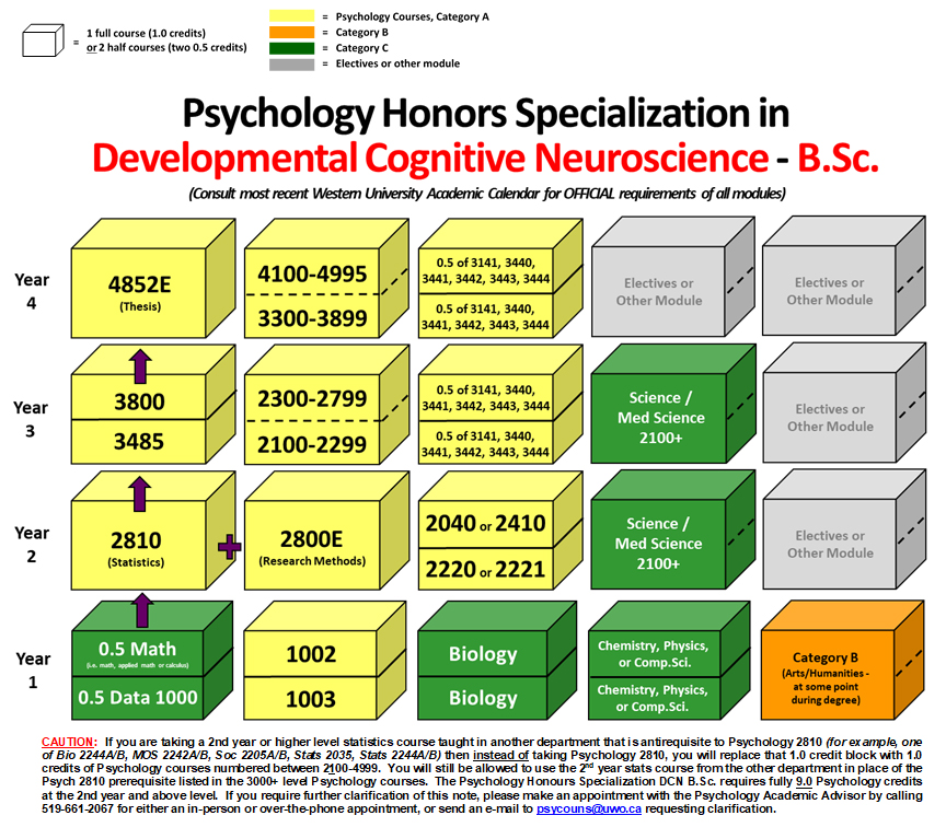 Image of Program Requirements