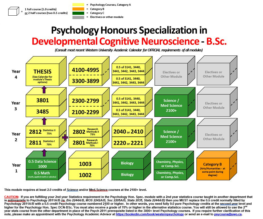 best cognitive neuroscience phd programs