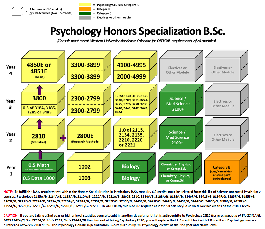 Image of Program Requirements