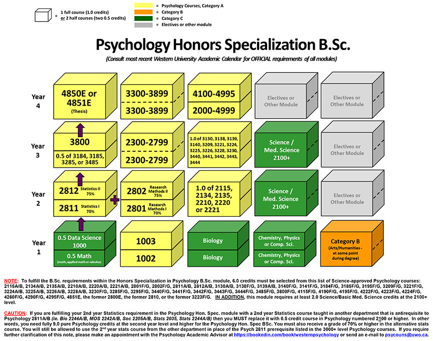 Image of Program Requirements