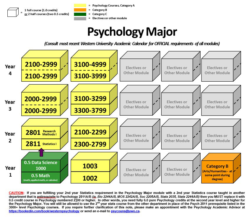 Image of Program Requirements