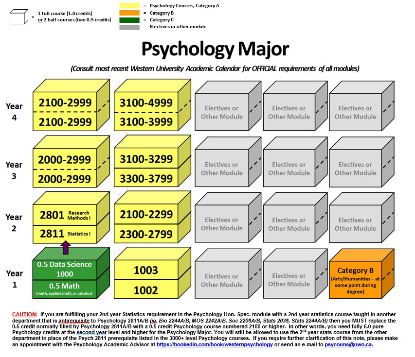 psychology major undergraduate coursework